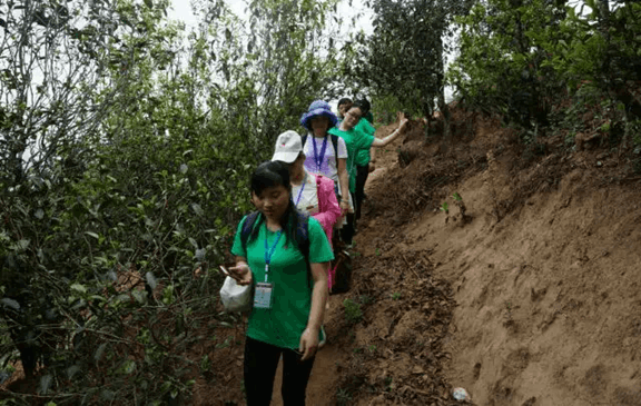 B5E8520EA4F430F88BCBF362186E3A63