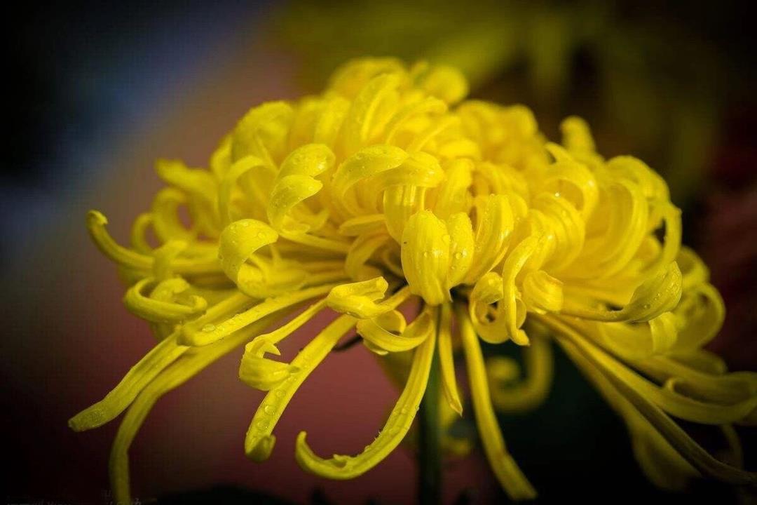 QQ圖片20180927145227