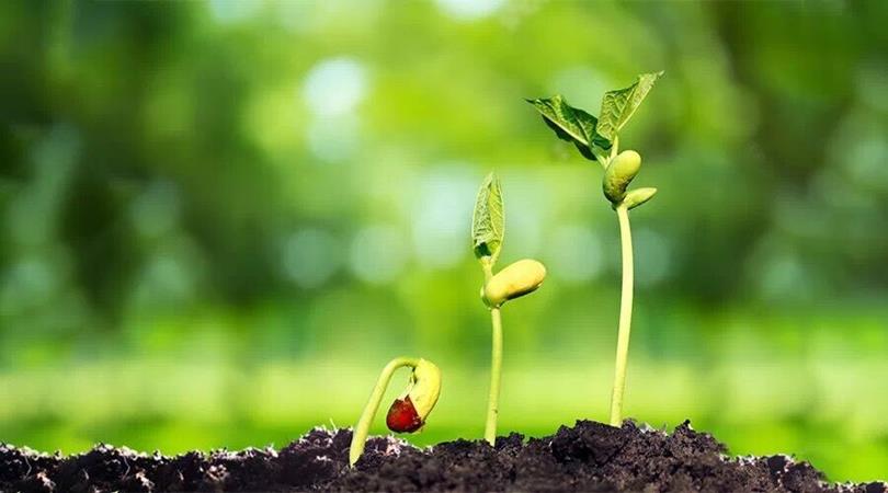 QQ圖片20190624164833