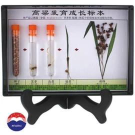 QQ圖片20191104153835_meitu_6