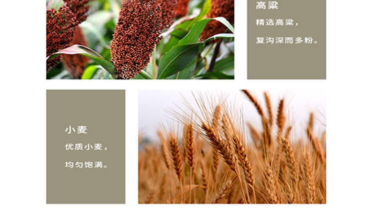 2022年10月360推廣二級(jí)頁(yè)面_9_1